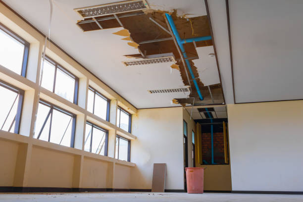 Best Residential water damage restoration  in Old Brookville, NY