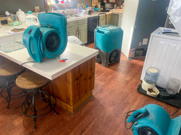 Best Water damage restoration services  in Old Brookville, NY