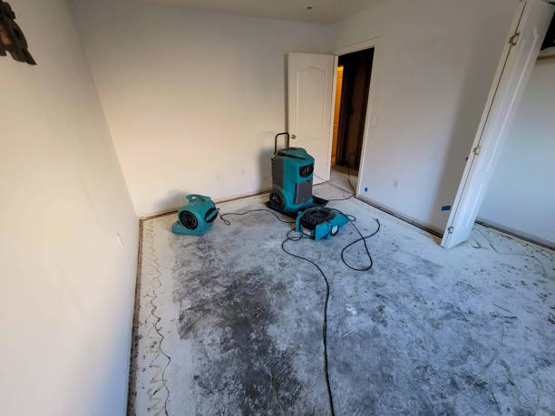 Best Local water damage restoration  in Old Brookville, NY
