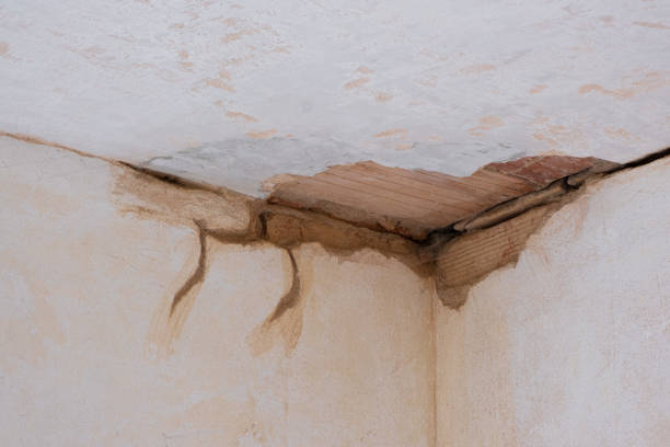 Best Sewage cleanup and water damage restoration  in Old Brookville, NY