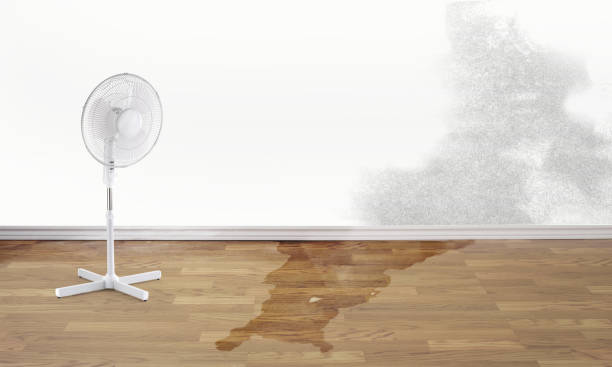 Best Commercial water damage restoration  in Old Brookville, NY