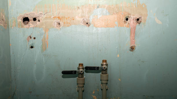 Best Ceiling water damage repair  in Old Brookville, NY