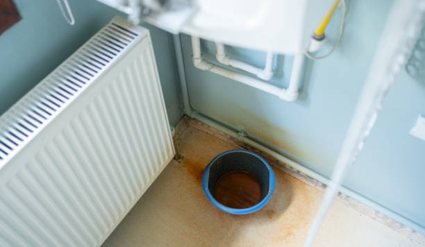 Best Water damage restoration near me  in Old Brookville, NY