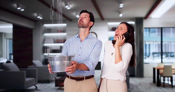 Best Fire Damage Restoration  in Old Brookville, NY